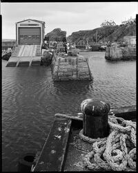 Hafen-St.Abbs-2